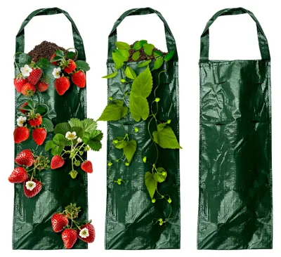 Produktbild von Erdbeer Pflanzsäcke, 3 Stück Hängende Pflanzbeutel für Erdbeeren, Tomaten, Kräuter und Gemüse