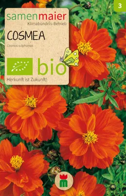 Artikelbild 1 von 'BIO Cosmea Schmuckkörbchen orange' aus der Kategorie Cosmeasamen