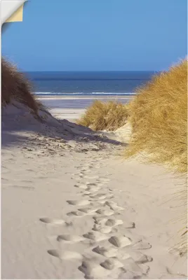 Produktbild von ARTland Wandbild, selbstklebend Weg zum Strand II Größe: 20x30 cm