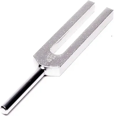 Immagine prodotto di Diapason (999 Hz) - 14 cm