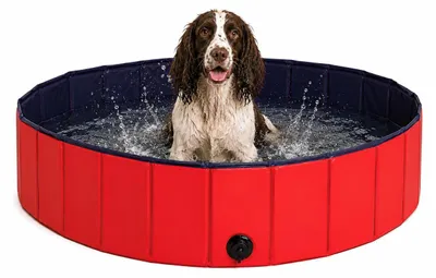 Immagine prodotto di piscina per cani pieghevole lionto, vasca per bambini in PVC resistente, antigraffio e antiscivolo, con valvola di scarico, diametro 120 cm, altezza 30 cm