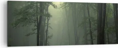 Produktbild von Bild auf Leinwand - Leinwandbild - Wald Nebel Baum - 140x50cm - Wand Bild - Wanddeko - Wandbilder - Leinwanddruck - Bilder - Kunstdruck - Wanddekoration - Leinwand bilder - Wandkunst - AB140x50-3543