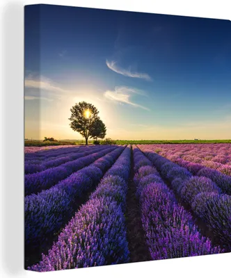 Produktbild von OneMillionCanvasses® - Leinwandbilder - Bild auf Leinwand Wandbild Leinwandbild Lavendel - Sonne - Baum - Blumen - Lila, 90x90 cm, Kunstdruck Wandkunst Gemälde auf Holzrahmen - Malereien - Wandschmuckes