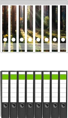 Produktbild von Wallario 8 Stück schmale Ordner inkl. Klebeetiketten mit Motive Sonnenstrahlen im Herbstwald -  Set mit Rückenschildern / Ordnerrücken Stickern
