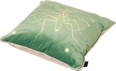 Produktbild von Dekoratives Kissen INSECT 45x45 cm, grün