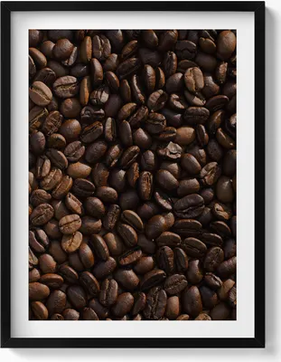 Produktbild von Arabica-Kaffeebohne– Wandbild mit Rahmen – Gerahmtes Bild  – Wanddekoration – 60x80 cm –  Schwarz Rahmen