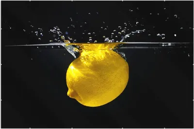 Produktbild von Wallario Wandbild Zitrone im Wasser - Frisches Obst für die Küche, Größe: 61 x 91,5 cm, Poster mit rahmenlosen Bildhalter