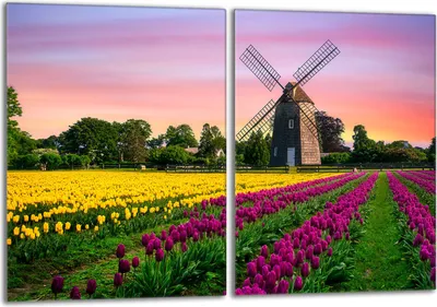Produktbild von Glasschutzplatte für den Herd 2x40x52 Łąka