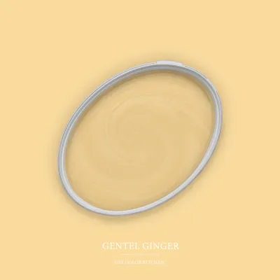 Produktbild von A.S. Création DD125636 The Color Kitchen Gentel Ginger TCK5004 2,5l Gelb Matt