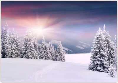 Produktbild von XXL Poster 100 x 70cm (F-209) Tiefverschneite Winterlandschaft mit schneebedeckten Bäumen welche unter der Schneelast stöhnen, die Sonne strahlt vom Himmel (Lieferung gerollt!)