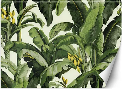 Produktbild von Vlies fototapete Grüne Bananenblätter 450x315 cm Feeby Grün inkl. Kleber einfache Montage