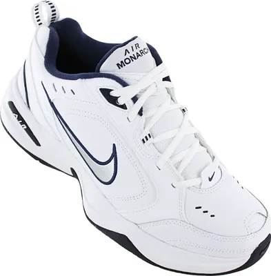 Obrázok produktu pre Nike - Tenisky - 415445-102 - Muži - EU 43