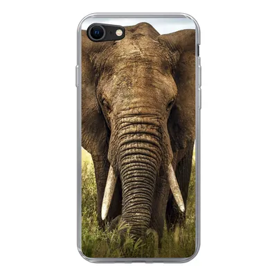 Produktbild von MuchoWow® Handyhülle Schutzhülle Hülle für iPhone 8 Elefant - Gras - Tiere - Natur Silikon Softcase Handy Hülle - Schutzhaube