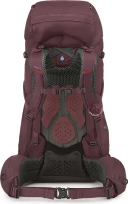 Produktbild von Osprey Damen Kyte 58 Trekkingrucksack Elderberry Purple WM/L