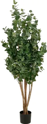 Produktbild von Mica Decorations Eukalyptusbaum – Kunstpflanze – Realistische Kunstpflanze Deko Wohnzimmer – Künstliche Pflanzen – Zimmerpflanzen Künstlich – H175 x Ø90 cm – Grün