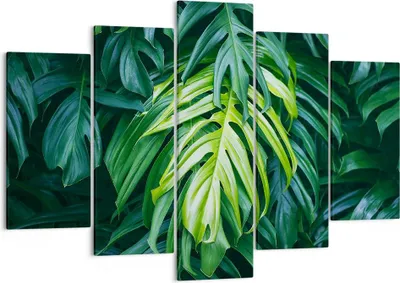 Produktbild von Bild auf Leinwand - Leinwandbild - Blume Natur - 150x100cm - Wand Bild - Wanddeko - Wandbilder - Leinwanddruck - Bilder - Kunstdruck - Wanddekoration - Leinwand bilder - Wandkunst - EA150x100-3951