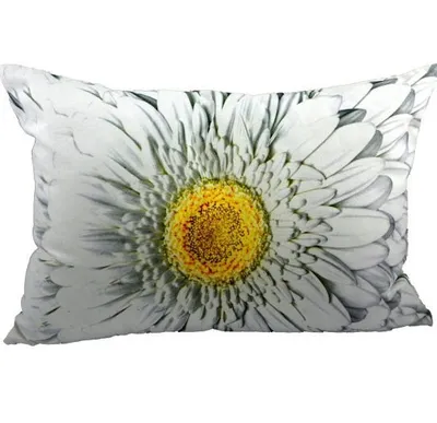 Produktbild von Kissen - Dekokissen Blüte - Blume Gerbera Weiss ca 50 x 35 cm