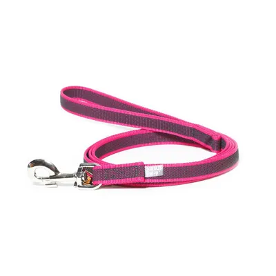 Produktbild von IDC Color & Gray gumierte Leine, 20 mm x 2 m mit Schlaufe und D-Ring, Pink-Grau