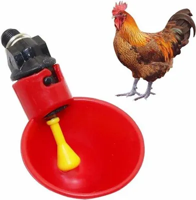 Produktbild von Vogeltränke Viertelhähnchen 12er Pack Hühner Tränkeautomat - Geeignet für - - Wasser - Vogeltränke Hühner - Automatische Tränke.
