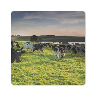 Produktbild von MuchoWow® Mauspad Mousepad Kuh - Gras - Sonnenuntergang 20x20 cm - Mousepads - Maus Mat - Pad - Mausunterlage - Desk Mat - Bureauartikeln