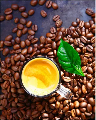 Produktbild von Wallario Poster - Kaffee und Bohnen, Kunstdruck Größe: 40 x 50 cm