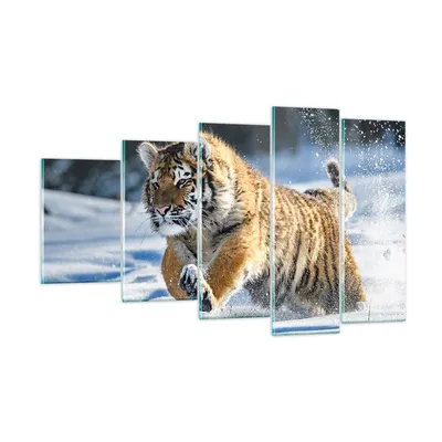 Produktbild von Bilder auf glas - tiger tier - 100x60cm - Glasbilder - Wandbilder - Bilder - Kunstdruck - zum Aufhängen bereit - Wanddekoration aus Glas - Glas Bilder - Wandbild auf Glas - 5 Teile - GEG100x60-3928