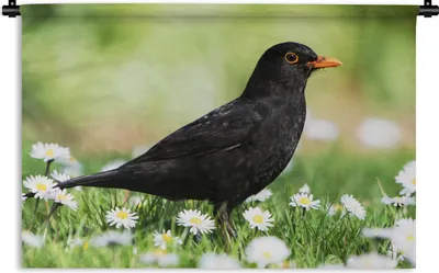 Produktbild von MuchoWow® Wandteppich Wandbehang Vogel - Amsel - Blumen 60x40 cm Tapisserie Dekoration Wandtuch - Wanddekorationen