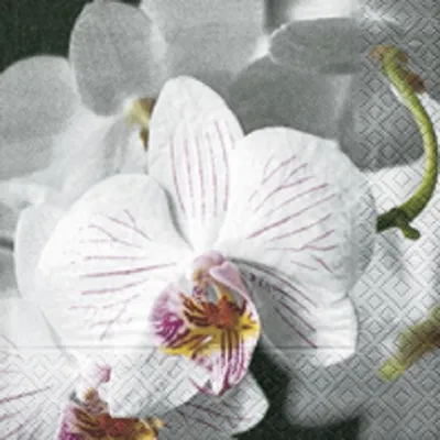 Produktbild von 20 LUNCH SERVIETTEN 33x33cm weiß- fuchsia Orchideenblüte. ORCHID