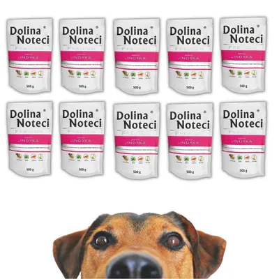 Produktbild von Dolina Noteci Premium mit Pute Nassfutter für Hunde 10x500g