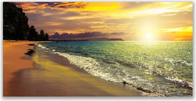 Produktbild von Glasbilder 120x60 Wandbild Druck auf Glas Sonne Strand Meer Baum Landschaft