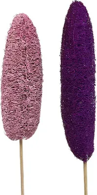 Produktbild von Luffa Schwamm am Stiel Groß Naturdeko Rosa Erika, Trockendeko für Vasen & Arrangements, 25 Stück 8cm-30cm