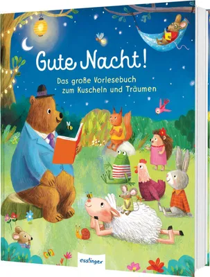 Produktbild von Gute Nacht!