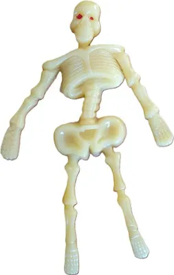 Produktbild von Skelett-Gel-Squishy | TG20307