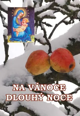 Obrázek produktu pro Na Vánoce dlouhý noce (kolektiv autorů)