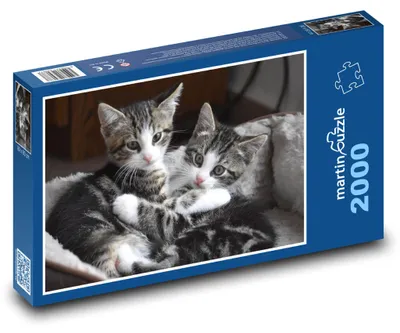 Obrázek produktu pro martinpuzzle - Puzzle 2000 - Roztomilá koťátka