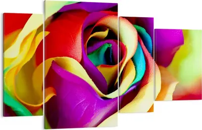 Produktbild von Bild auf Leinwand - Leinwandbild - Blume Farbe Rose - 120x70cm - Wand Bild - Wanddeko - Wandbilder - Leinwanddruck - Bilder - Kunstdruck - Wanddekoration - Leinwand bilder - Wandkunst - DL120x70-3623