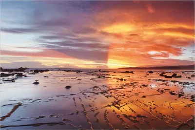 Produktbild von Wallario selbstklebendes Poster - Wattwanderung am Meer bei Sonnenuntergang, Größe: 100 x 150 cm
