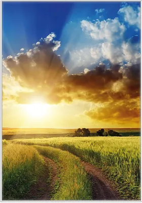 Produktbild von Wallario Wandbild Feldweg in den Sonnenuntergang, Größe: 70,30 x 100,30 cm, Poster mit weißem Kunststoffrahmen