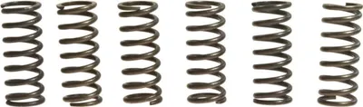 Immagine prodotto di Kit 6 molle frizione EBC CSK028 per Honda