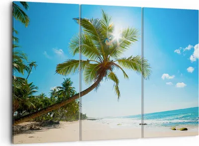 Produktbild von Bild auf Leinwand - Leinwandbild - Strand Palme Meer - 105x70cm - Wand Bild - Wanddeko - Wandbilder - Leinwanddruck - Bilder - Kunstdruck - Wanddekoration - Leinwand bilder - Wandkunst - CE105x70-3570