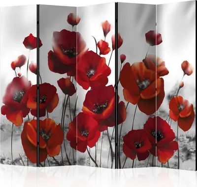 Obrázek produktu pro 5-dílná dvojitá fotopříčka Paravent - Poppies in the Moonlight II 225x172 cm Blumen b-A-0334-z-c
