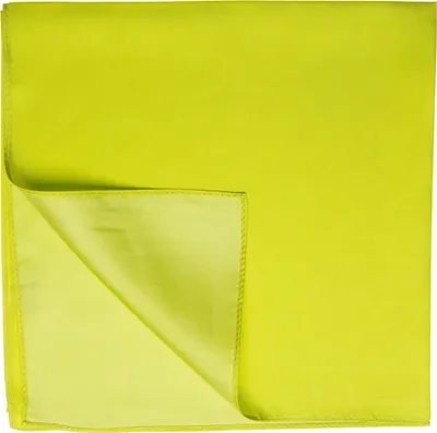 Produktbild von Nickituch Seidentuch grün limone Twillseide 53x53cm