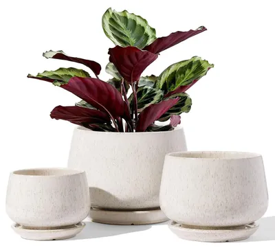Immagine prodotto di Set di 3 vasi in Vetroceramica per piante, con sottovaso, color beige, diametro 10+13+16 cm, con foro di drenaggio