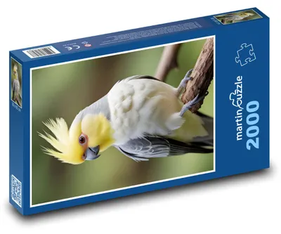 Produktbild von Puzzle 2000 Gelbhaubenkakadus Motiv - martinpuzzle