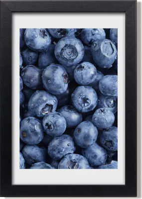 Produktbild von Bild 20x30 MDF-Rahmen, Wandkunst Blaubeeren