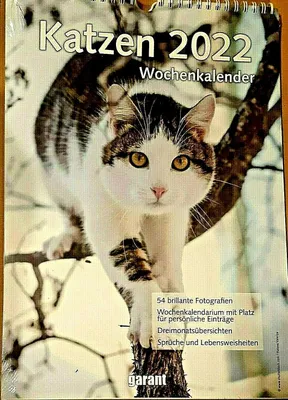 Produktbild von Wochenkalender Katzen 2022