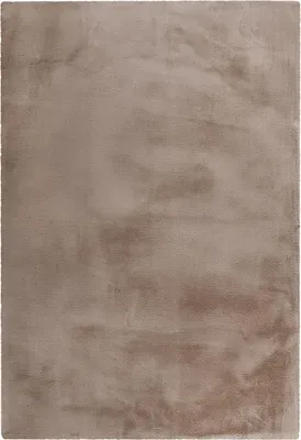 A top-down view of a taupe rug.