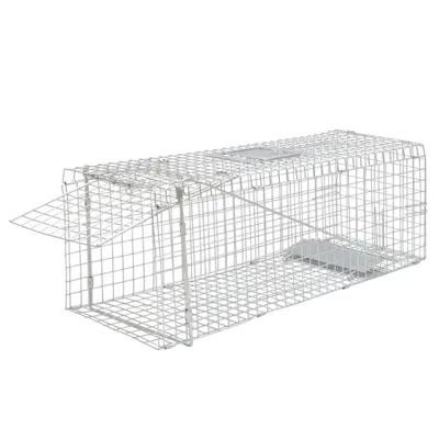 Immagine prodotto di Vidaxl Animal -freundlich Herbst 80 cm zincato