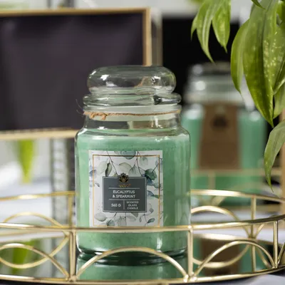 Image de Bougie ARÔME 560 g, en verre, Eucalyptus et Menthe verte