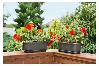 Produktbild von Lamela Balkonkasten Untersetzer 974x160 Anthrazit Hochwertig